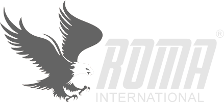 Roma-Sports-Logo-Transparent-3-1.png